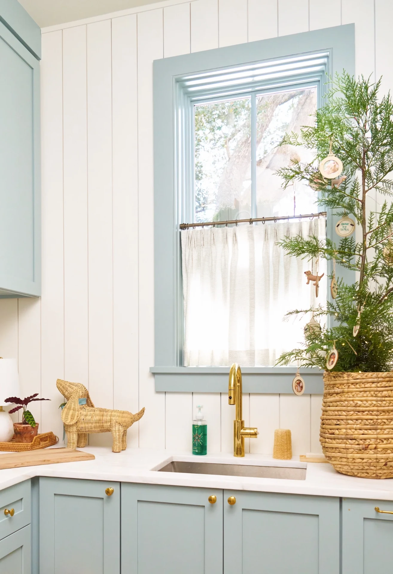 Blue laundry room with celadon Harbor cafe curtains and a small cedar tree